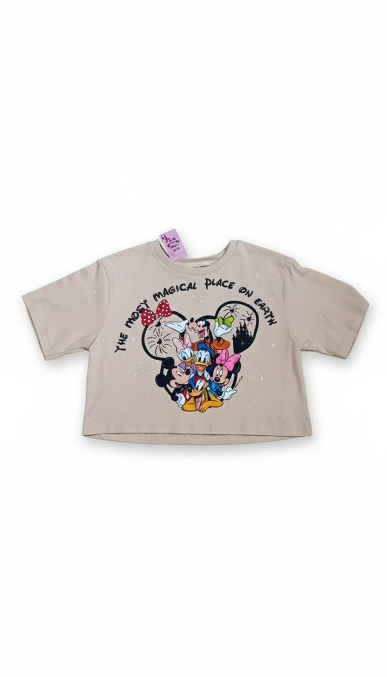 cropped mickey